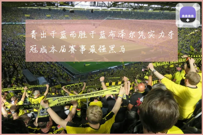青出于蓝而胜于蓝布泽尔凭实力夺冠成本届赛事最强黑马